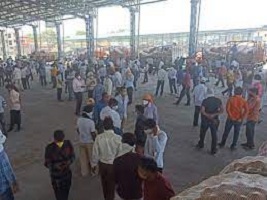 इंदौर में लक्ष्मीबाई नगर अनाज मंडी में किसानों का हंगामा, कम कीमत पर खरीदी को लेकर भड़के किसान, मंडी बंद