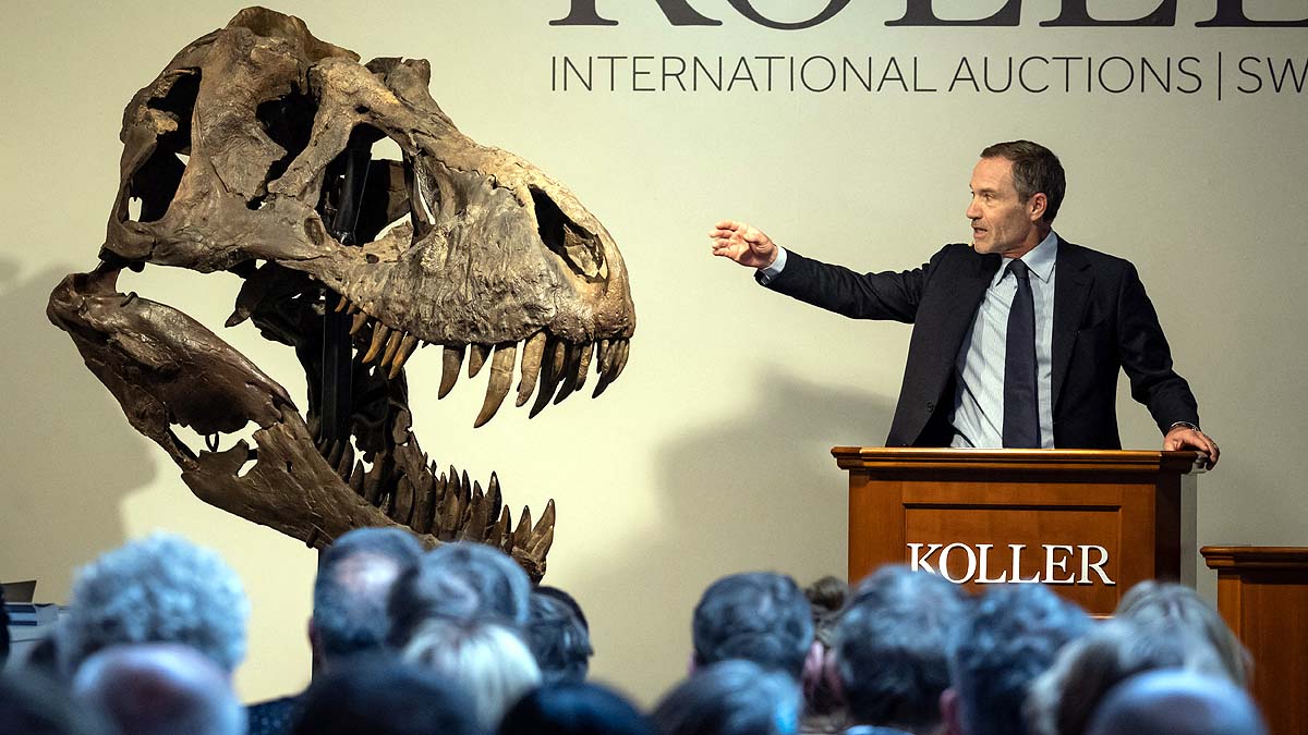 50 करोड़ में बिका T.Rex का कंकाल, स्विट्जरलैंड में हुई नीलामी, 30 हजार से ज्यादा लोग आए देखने