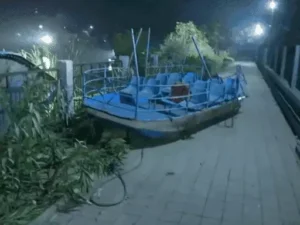 Vadodara Boat Accident 