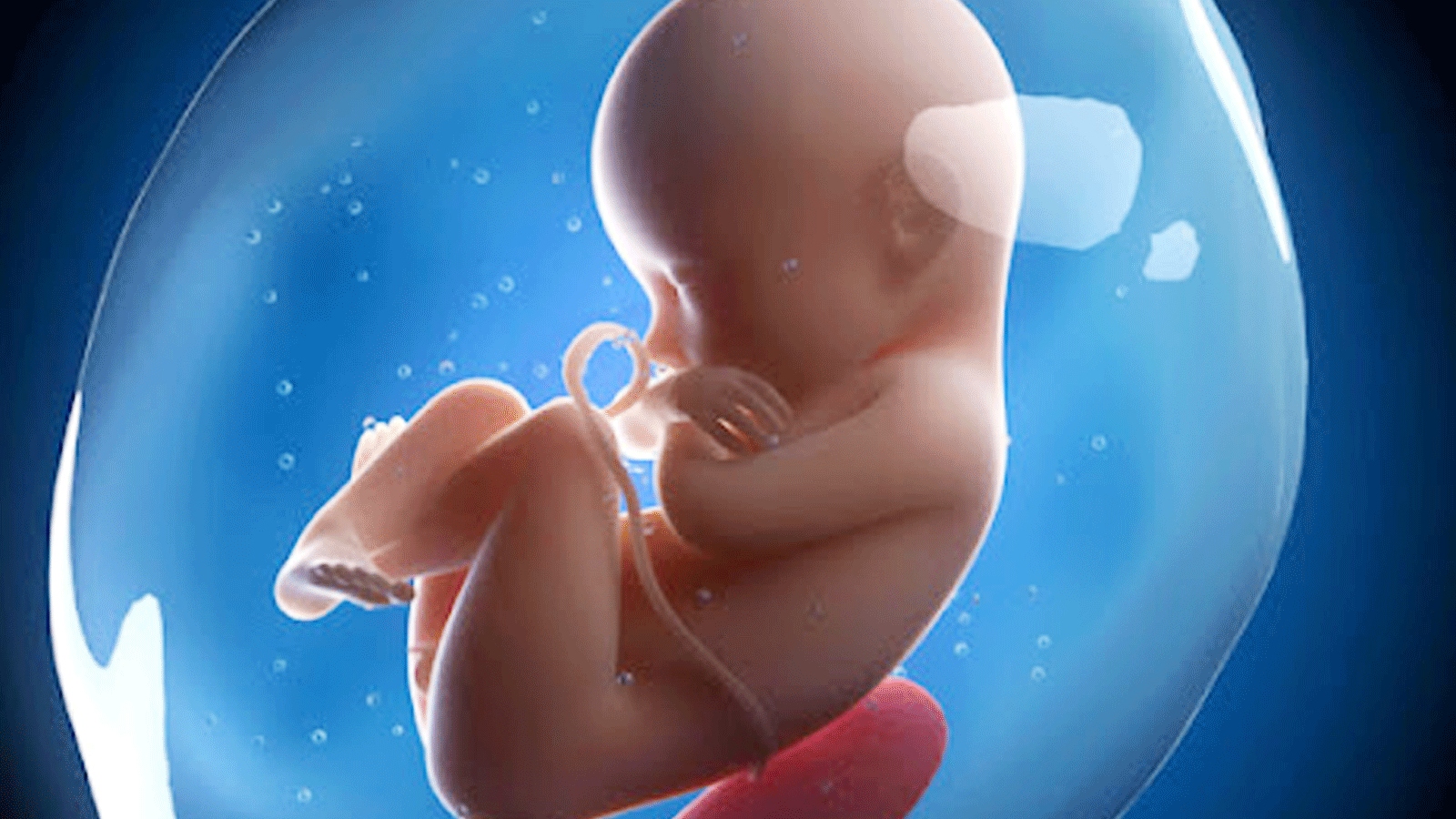 Fetus in Fetu