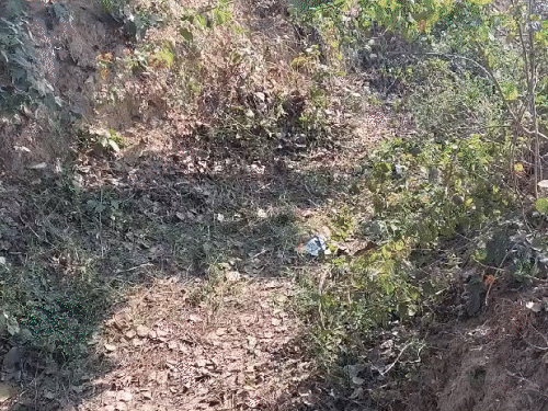 Ayodhya Dalit Girl Murder