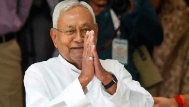 Vice President