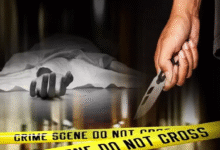 Vasantkunj Murder