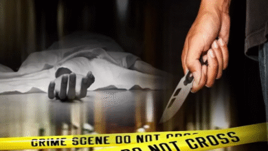 Vasantkunj Murder