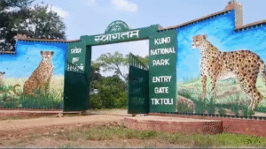 Kuno National Park, Madhya Pradesh