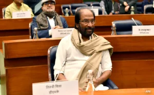 Vice President