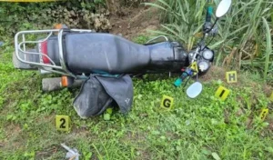 Journalist Murder Case
