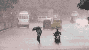 MP Weather Alert