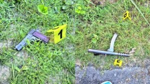 Journalist Murder Case