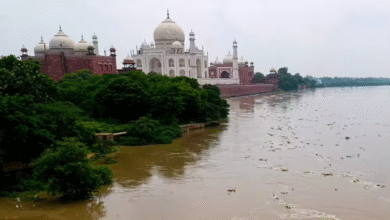 Agra News