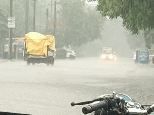 Ganesh Visarjan