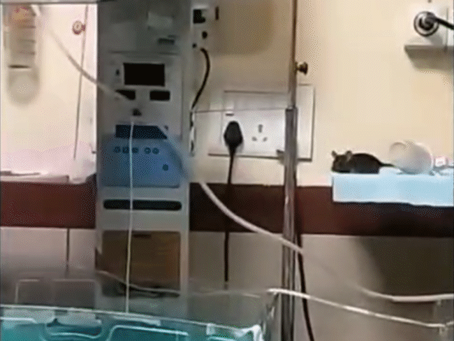 Indore MY Hospital