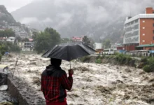 Himachal News 