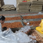 शुद्ध होली अभियान के तहत इंदौर में गुलाब जामुन जब्त