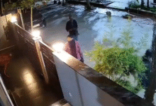 Indore Drug Crime News