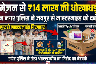 Amazon Fraud Case