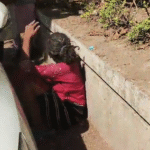 Mental Health Indore