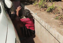 Mental Health Indore