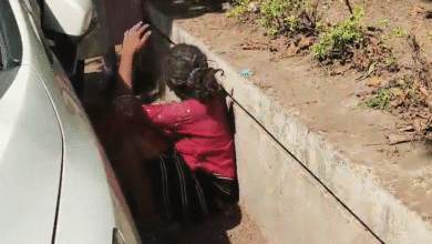 Mental Health Indore