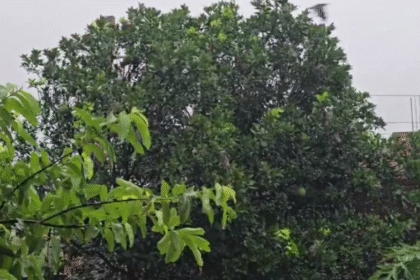 MP Weather Update Today: Pre Monsoon Entry से बदला मौसम, गर्मी से राहत