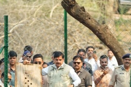 Cheetah released into open forest at Kuno National Park in Madhya Pradesh