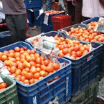 Indore Vegetable Prices Today 12 June 2026 Choihtram Mandi Tomato Price Hike Latest Update