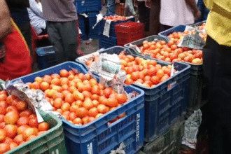 Indore Vegetable Prices Today 12 June 2026 Choihtram Mandi Tomato Price Hike Latest Update