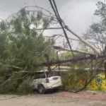 Fallen trees on major roads of Indore after storm and rain, municipal teams removing tree branches, cloudy weather conditions and restoration work in progress.