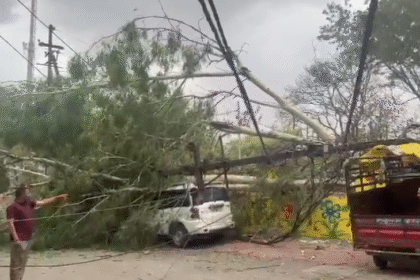 Fallen trees on major roads of Indore after storm and rain, municipal teams removing tree branches, cloudy weather conditions and restoration work in progress.