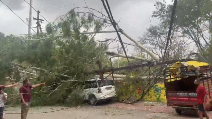 Fallen trees on major roads of Indore after storm and rain, municipal teams removing tree branches, cloudy weather conditions and restoration work in progress.
