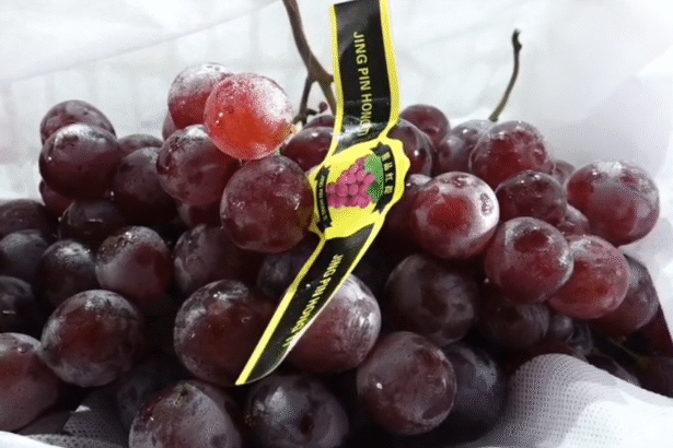 Chinese Grapes Indore at Choithram Fruit Mandi