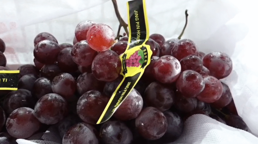 Chinese Grapes Indore at Choithram Fruit Mandi