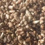 Indore Vegetable Price