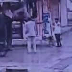 Indore Elephant Attack Latest Update