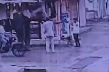 Indore Elephant Attack Latest Update