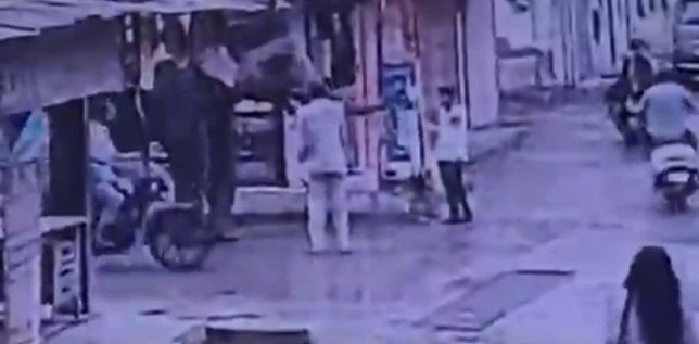 Indore Elephant Attack Latest Update