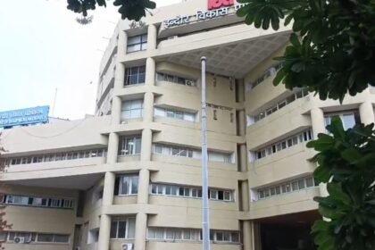 Indore IDA Plot
