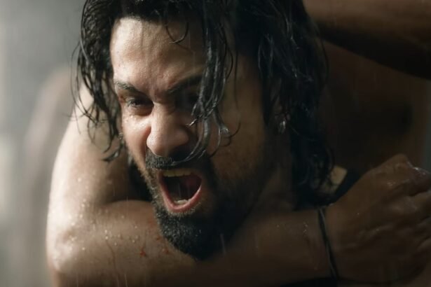 awarapan2 review