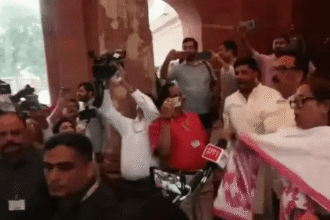 Parliament NDA Congress Protest