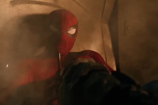 Spider Man Brand New Day Collection Day 5