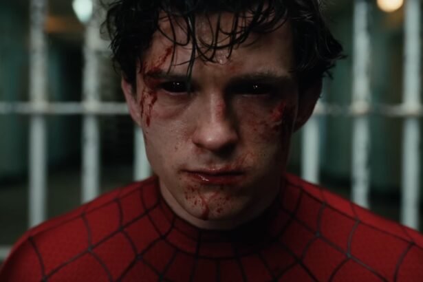 Spider Man Brand New Day India box office record