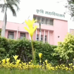 Indore Rainfall Monsoon Update