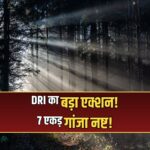 Indore DRI ganja