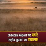Kuno cheetah post-mortem RTI denial national security