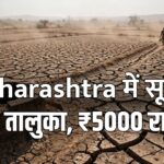 Maharashtra drought 305 talukas farmers ₹5000 Diwali relief