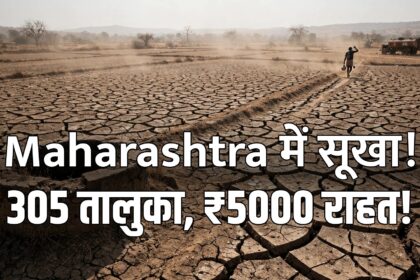 Maharashtra drought 305 talukas farmers ₹5000 Diwali relief