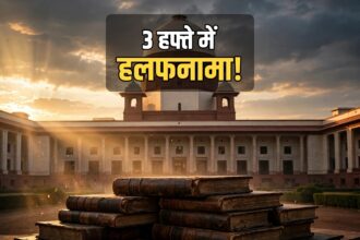 SC Library