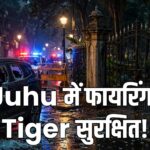 Tiger Shroff firing