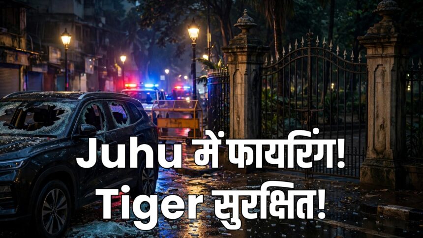 Tiger Shroff firing